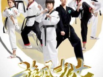 旋风少女百度云第一季32集全[480P/MP4]国语中字资源