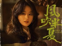 风吹半夏百度云全集[1080P/MP4]国语中字资源