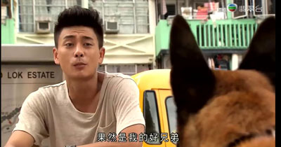 警犬巴打百度云粤语20集全[720P/MP4]中字资源