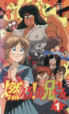 森林好小子百度云24集全[480P/MKV]日语中字资源