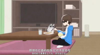 关于养猫我一直是新手百度云30集全[1080P/MP4]日语中字